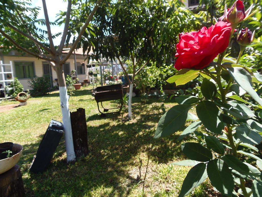 伊瓜苏 梅里扎的花园旅舍酒店 外观 照片
